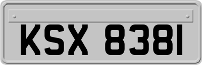 KSX8381