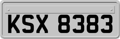 KSX8383