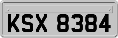 KSX8384