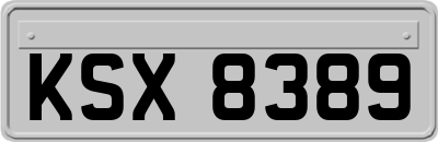 KSX8389