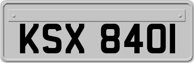 KSX8401