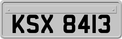 KSX8413