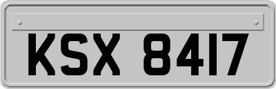 KSX8417