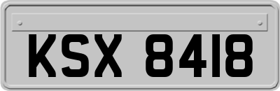 KSX8418