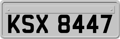 KSX8447