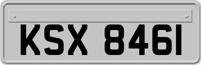 KSX8461