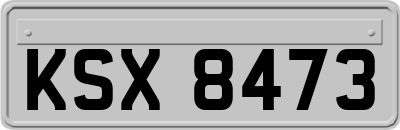 KSX8473