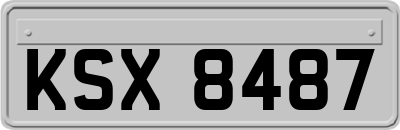 KSX8487