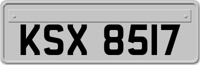 KSX8517