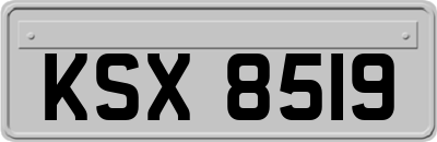 KSX8519