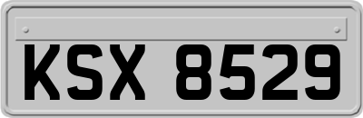 KSX8529