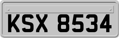 KSX8534