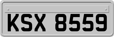 KSX8559