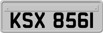 KSX8561