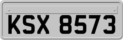 KSX8573