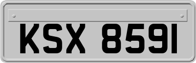 KSX8591