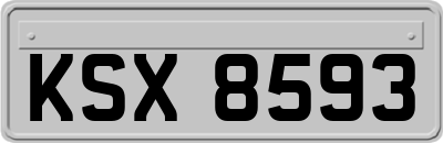 KSX8593