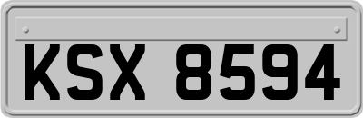 KSX8594