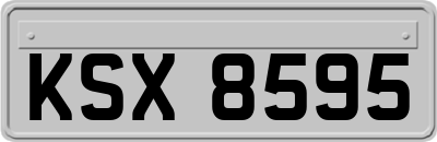 KSX8595