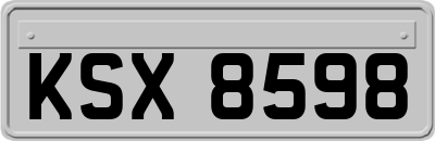 KSX8598