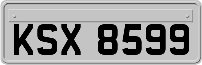 KSX8599