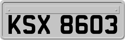KSX8603