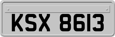 KSX8613