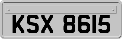 KSX8615