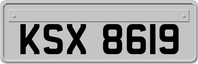 KSX8619