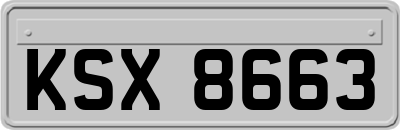KSX8663