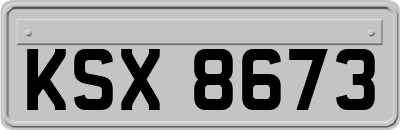 KSX8673