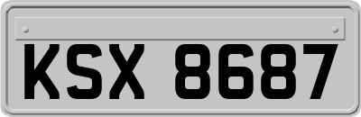 KSX8687