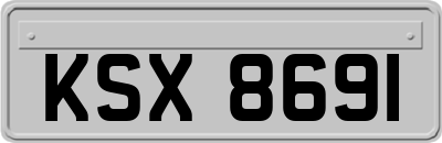 KSX8691