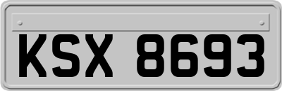 KSX8693