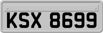 KSX8699