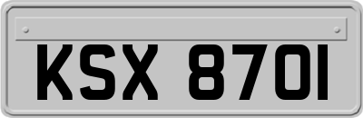 KSX8701