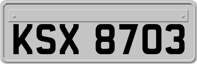 KSX8703
