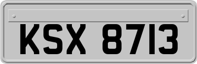 KSX8713
