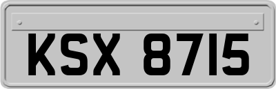KSX8715