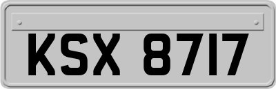 KSX8717