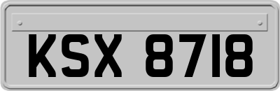 KSX8718