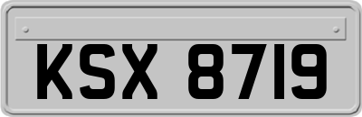 KSX8719