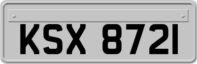 KSX8721