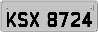 KSX8724