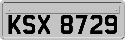 KSX8729