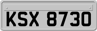 KSX8730