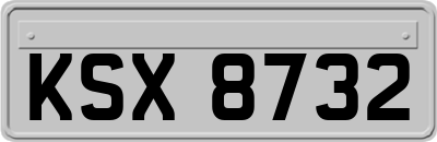 KSX8732