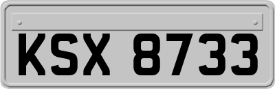 KSX8733