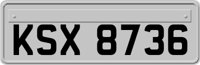 KSX8736