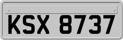 KSX8737